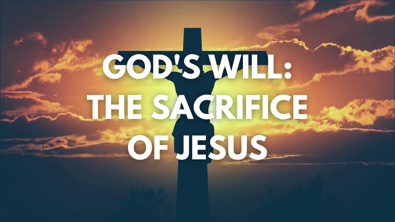 Growing In Grace Podcast | The Will of God: The Sacrifice of Jesus