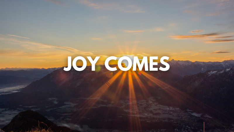 Lee Penley: Joy Comes