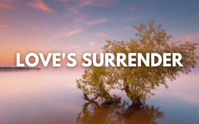 Lee Penley: Love’s Surrender