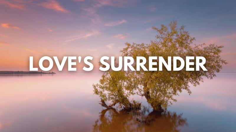 Lee Penley: Love’s Surrender