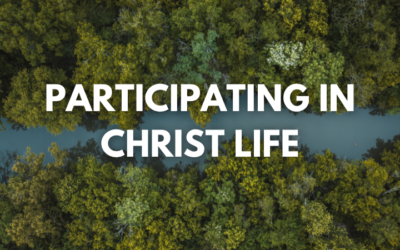 Malcom Smith: Participating in Christ Life
