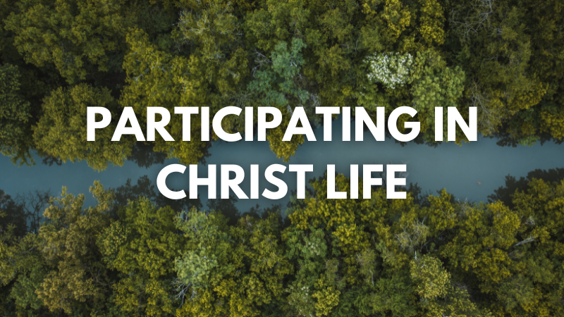 Malcom Smith: Participating in Christ Life