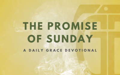 The Promise of Sunday