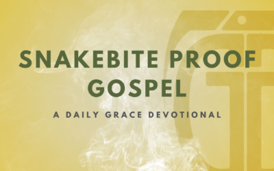 Snakebite Proof Gospel