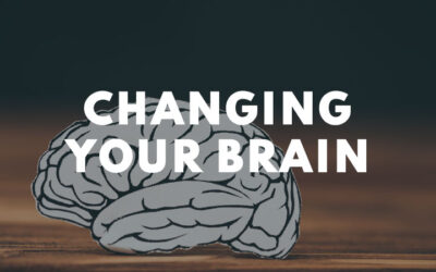 Steve McVey: Changing Your Brain